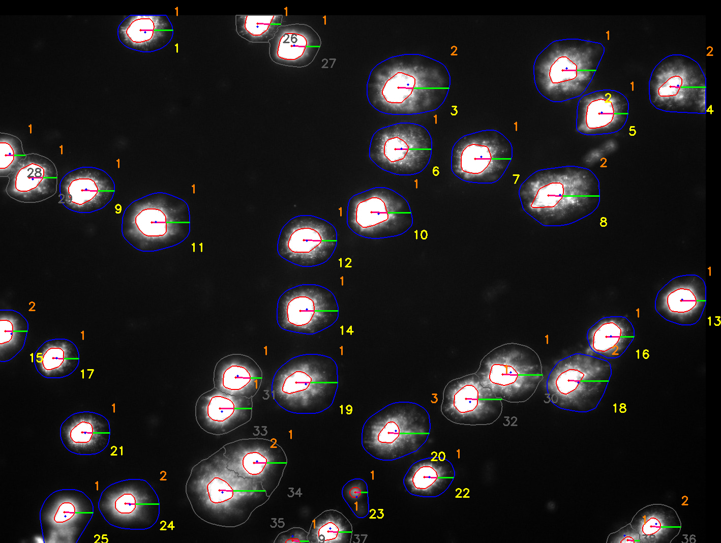 Comet assay analysis results